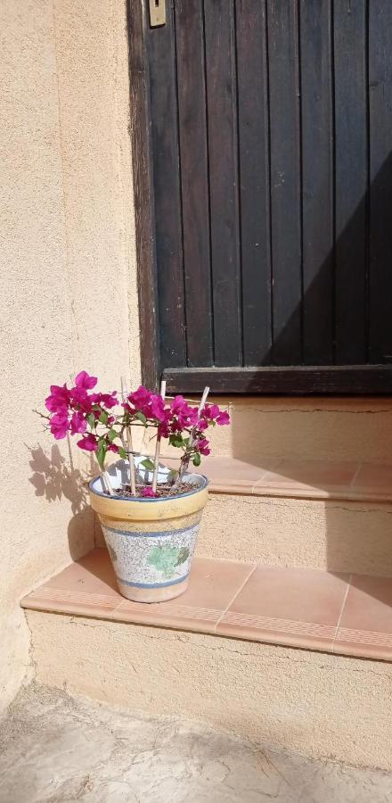 Les Cigales Bed & Breakfast Villelaure Ngoại thất bức ảnh